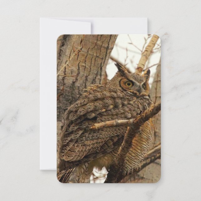 Tarjeta De Agradecimiento Owl Flat Notecard (Anverso)