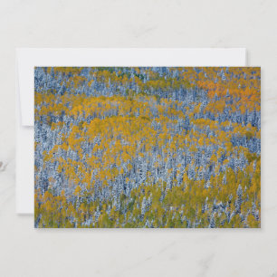 Tarjeta De Agradecimiento Paisaje de bosque en otoño