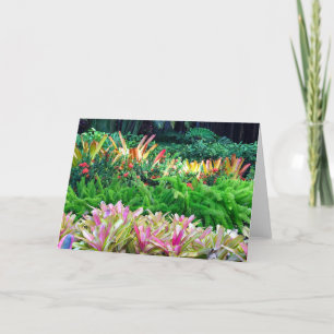 Tarjeta De Agradecimiento Paisaje tropical