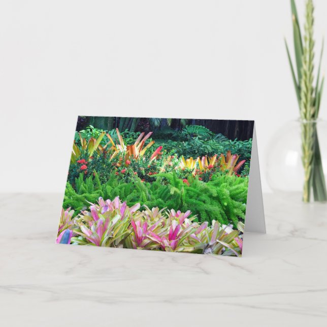 Tarjeta De Agradecimiento Paisaje tropical (Anverso)