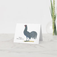 Pájaro del estado de Delaware: Delaware Blue Hen