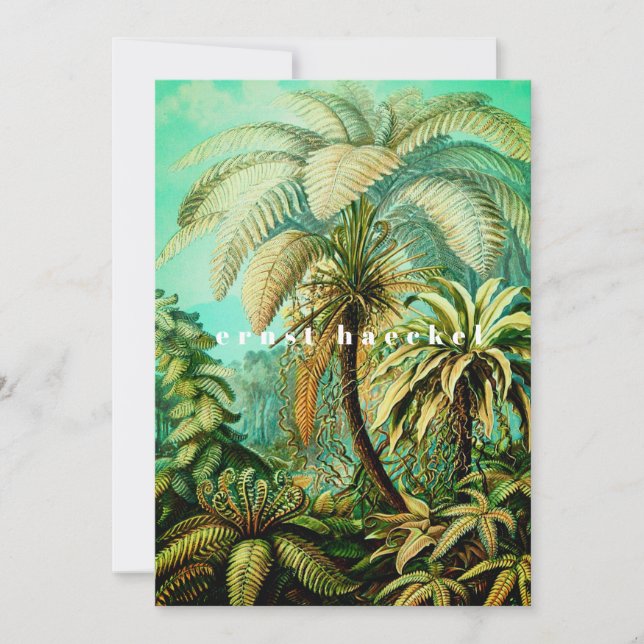 Tarjeta De Agradecimiento Palas botánicas Ernst Haeckel (Anverso)