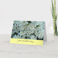 Paperwhite Narcissus Gracias