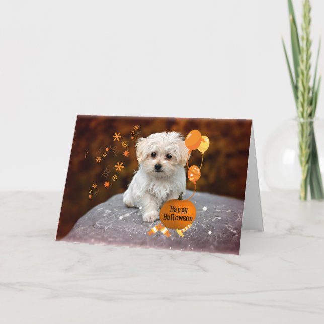 Tarjeta De Agradecimiento Papúa maltesa celebra Halloween (Anverso)