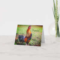 Tarjeta de agradecimiento para animales de granja