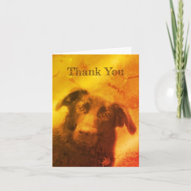 Tarjeta de agradecimiento para arte de perro de Bl (Anverso)