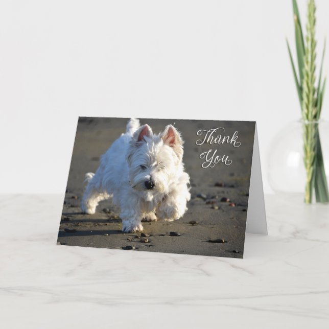 Tarjeta de agradecimiento para Beach Westie Photo (Anverso)