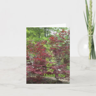 Tarjeta De Agradecimiento Para darte Las Gracias