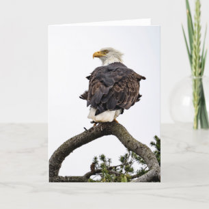 Tarjeta de agradecimiento para el árbol de águilas