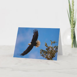 Tarjeta de agradecimiento para el vuelo de águila 