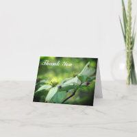 Tarjeta de agradecimiento para flor de Dogwood bla