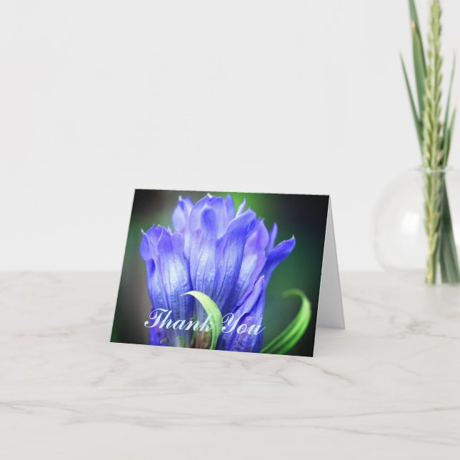 Tarjeta de agradecimiento para Flor Gentiana Azul (Anverso)