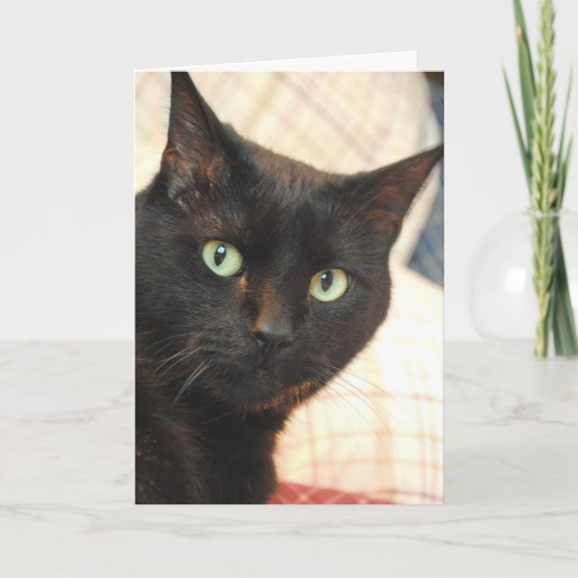 Tarjeta de agradecimiento para gato negro (Anverso)