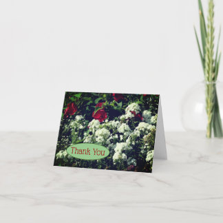 Tarjeta De Agradecimiento Para Hibiscus Y Phlox