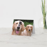 Tarjeta de agradecimiento para los Golden Retrieve
