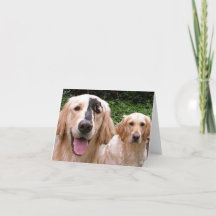 Tarjeta de agradecimiento para los Golden Retrieve