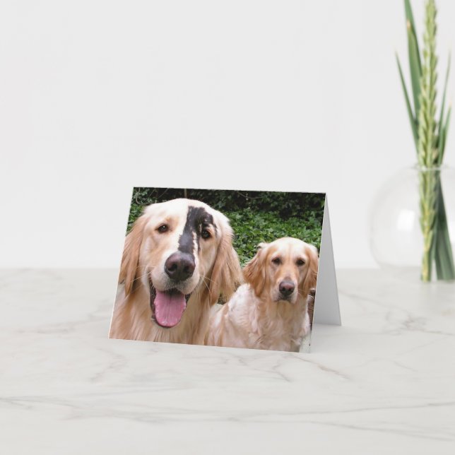 Tarjeta de agradecimiento para los Golden Retrieve (Anverso)