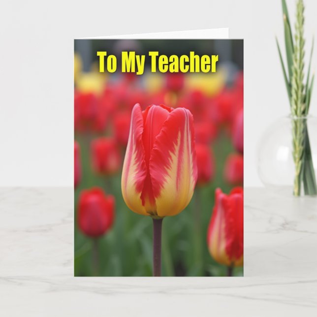 Tarjeta de Agradecimiento para Maestro Tulipán (Anverso)