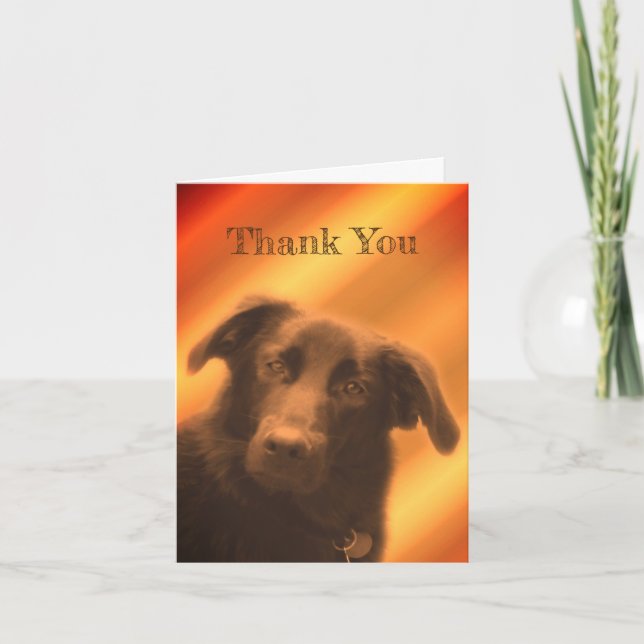 Tarjeta de agradecimiento para perro de Black Lab (Anverso)