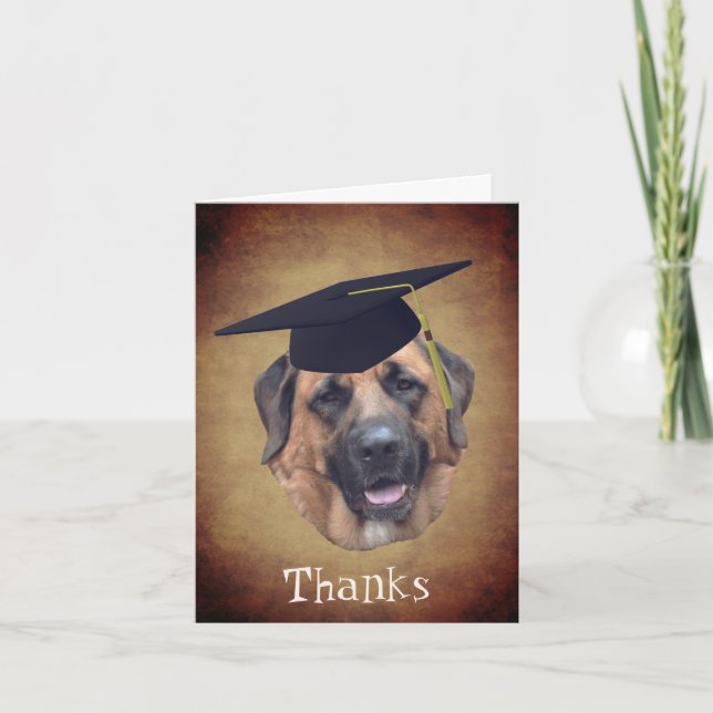 Tarjeta de agradecimiento para perro de mastiff en (Anverso)