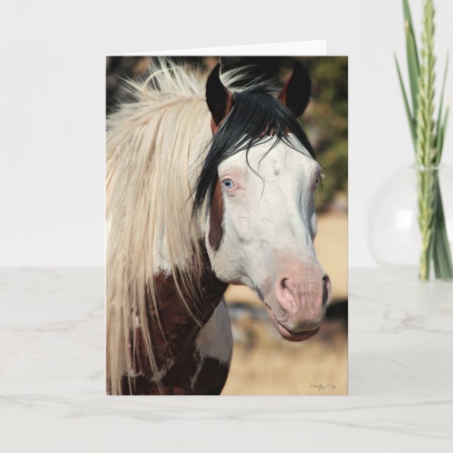 Tarjeta de agradecimiento para Shaman WildCard (Anverso)