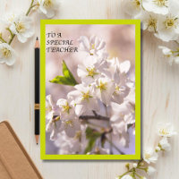 Para una maestra especial Flor de cerezo japonesa
