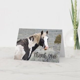 Tarjeta de agradecimiento para Wild Pinto Stallion