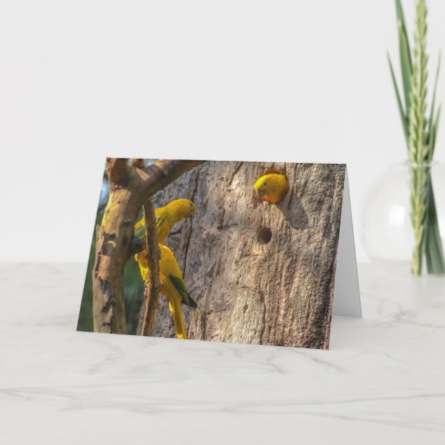 Tarjeta De Agradecimiento Paracaídas dorado (Anverso)