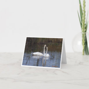 Tarjeta De Agradecimiento Pareja de cisnes ~ Aves de una pluma