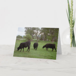 Tarjeta De Agradecimiento Pasto del ganado v1