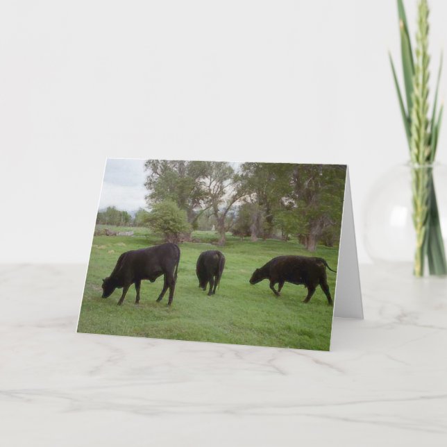 Tarjeta De Agradecimiento Pasto del ganado v1 (Anverso)