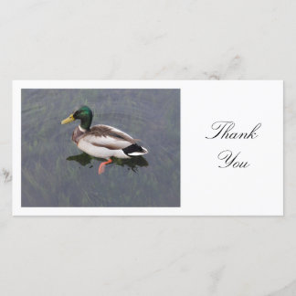 Tarjeta De Agradecimiento Pato del pato silvestre - gracias