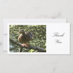 Tarjeta De Agradecimiento Pato feliz - Gracias