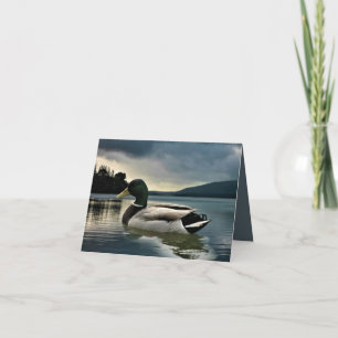 Tarjeta De Agradecimiento Pato Mallard En El Lago