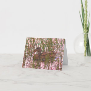 Tarjeta De Agradecimiento Pato Salvaje En Pond Wildlife Blank Note Card