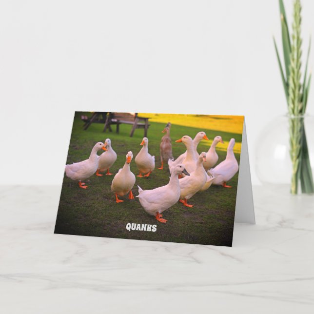Tarjeta De Agradecimiento Patos en los graciosos tanques de pato Park (Anverso)