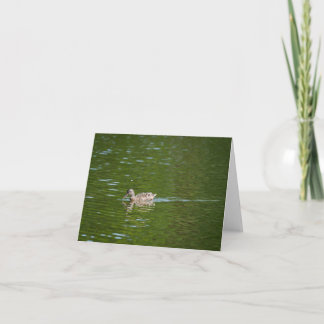 Tarjeta De Agradecimiento Patos en un lago verde (2)