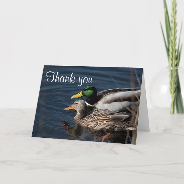 Tarjeta De Agradecimiento Patos mallard (Anverso)