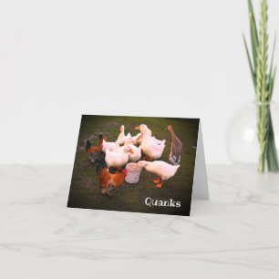 Tarjeta De Agradecimiento Patos y pollos comiendo graciosos