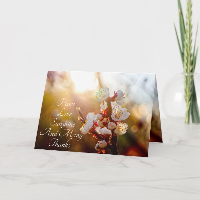 Tarjeta De Agradecimiento Paz, Amor, Sunshine Y Muchas Gracias (Anverso)