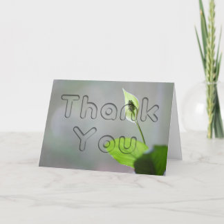 Tarjeta De Agradecimiento Peace Lily Floral Gracias