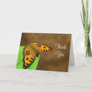 Tarjeta De Agradecimiento Peacock Pansy Butterfly Gracias