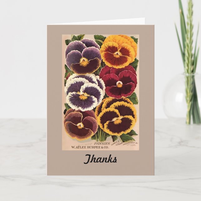 Tarjeta De Agradecimiento Pensamientos clasificados Burpee del vintage (Anverso)