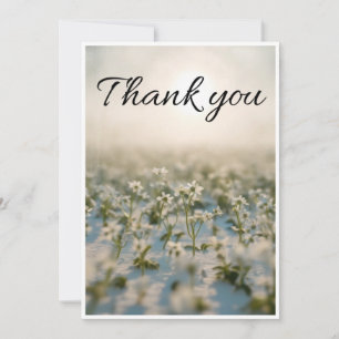 Tarjeta De Agradecimiento pequeña flor blanca esparcida a través de la tarje
