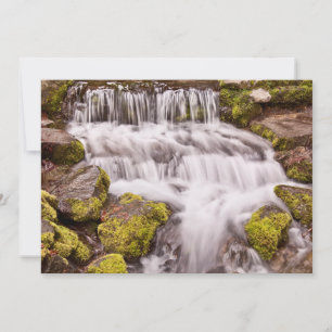 Tarjeta De Agradecimiento Pequeñas Cascadas en Yosemite