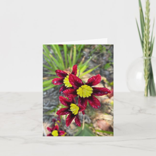 Tarjeta De Agradecimiento Pequeñas Flores (Anverso)