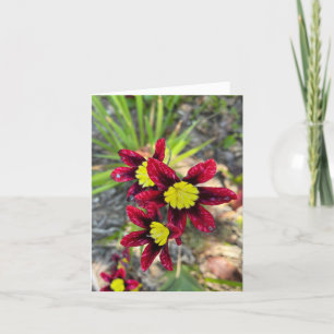 Tarjeta De Agradecimiento Pequeñas Flores