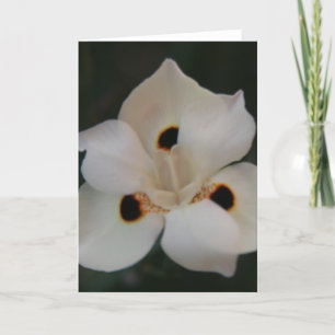 Tarjeta De Agradecimiento pequeños pétalos de flores