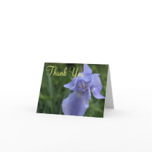 Periwinkle Iris Flower Boda Gracias