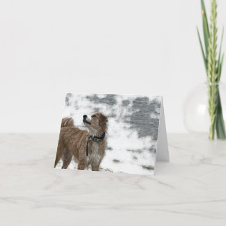 Tarjeta De Agradecimiento Perro